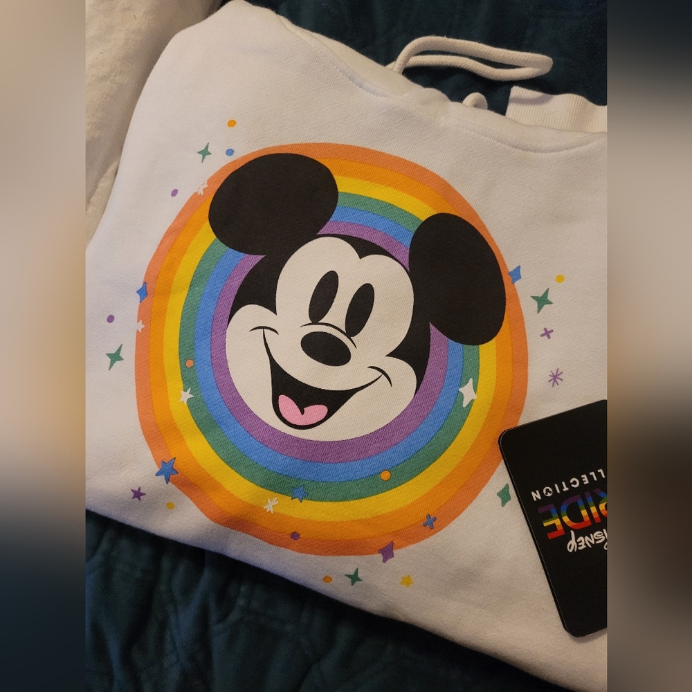 Disneyland Parks Pride Sweatshirt Hoodie XS Adult NWT - Picture 2 of 6